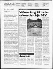 Síða 2