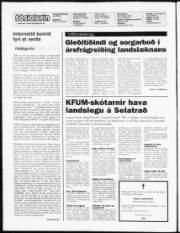 Síða 2