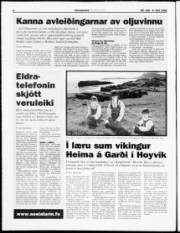 Síða 6