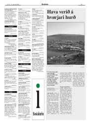 Síða 29