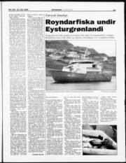 Síða 13