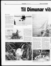 Síða 14