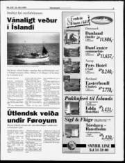 Síða 3