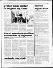 Síða 17