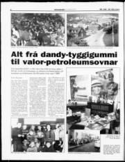 Síða 4