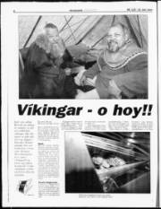 Síða 6