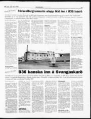 Síða 13
