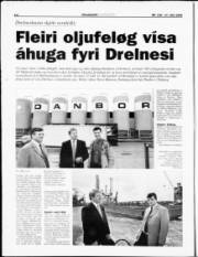 Síða 13