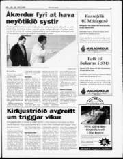 Síða 3