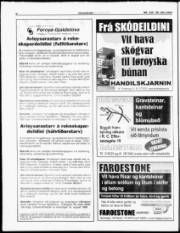 Síða 6