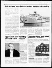 Síða 8