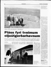 Síða 12
