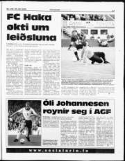 Síða 17