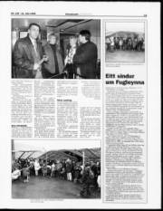 Síða 13