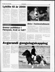 Síða 17