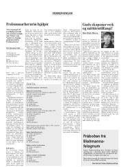 Síða 15