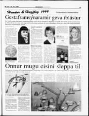 Síða 15