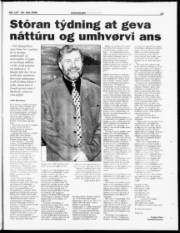 Síða 19