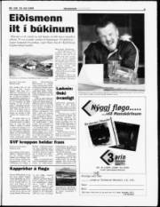 Síða 3
