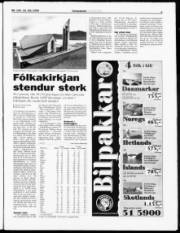 Síða 3
