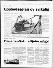 Síða 4