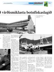 Síða 21