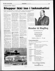Síða 13