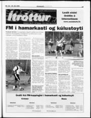 Síða 15