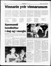 Síða 18