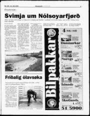 Síða 3
