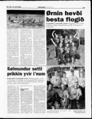 Síða 13