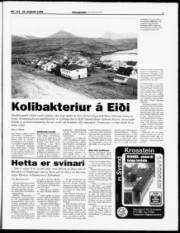Síða 7