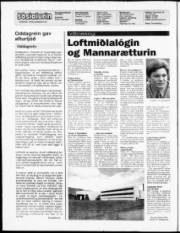 Síða 2