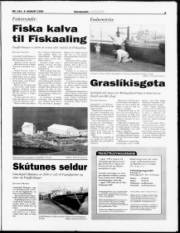 Síða 3