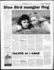 Síða 8