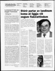 Síða 2
