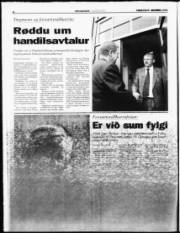 Síða 8