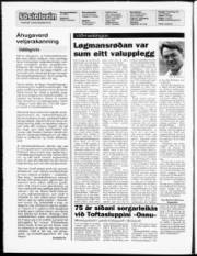 Síða 2