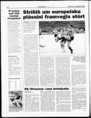 Síða 12