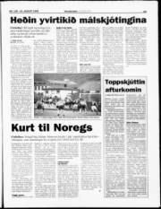 Síða 13