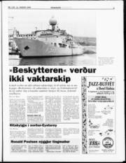 Síða 3