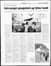Síða 8