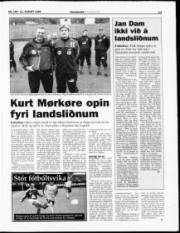 Síða 13