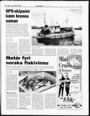 Síða 3