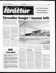 Síða 11