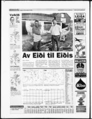 Síða 20