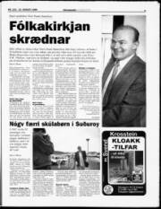 Síða 7