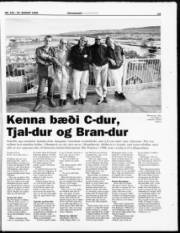 Síða 14
