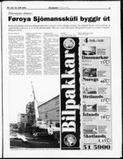 Síða 3