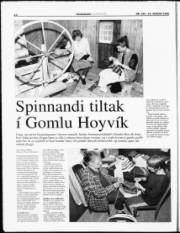 Síða 14